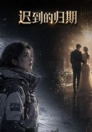 迟到的归期